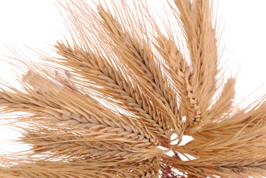 Similar image 351989