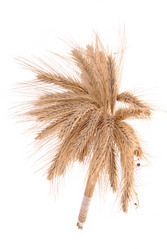 Similar image 351995