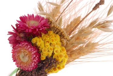 Similar image 352001