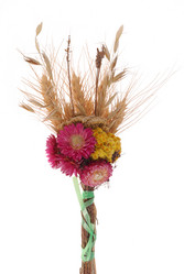 Similar image 352009