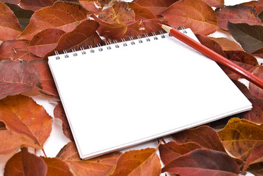 Similar image 352029