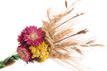 Similar image 352048