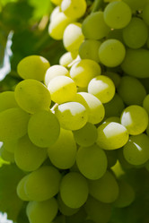 Similar image 352051