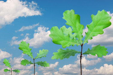 Similar image 352107