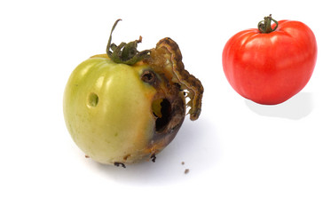 Similar image 352141