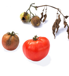 Similar image 352149