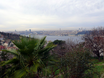 Similar image 352184