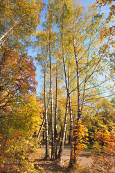 Similar image 352242