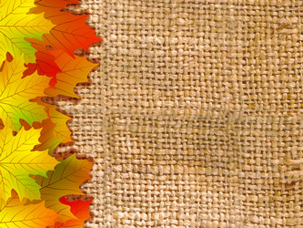 Similar image 352333