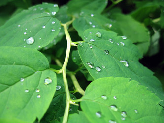 Similar image 352363