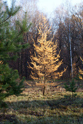 Similar image 352366