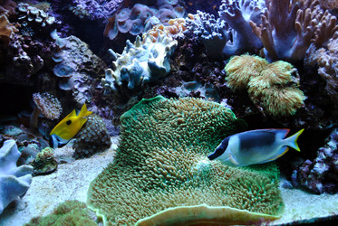 Similar image 352369