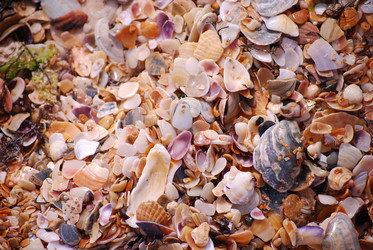 Similar image 352400