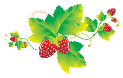 Similar image 352408