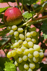 Similar image 352412