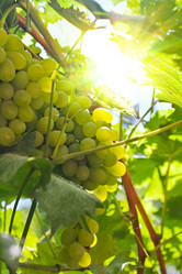 Similar image 352413