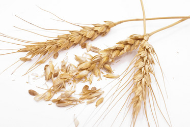 Similar image 352416