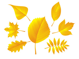 Similar image 352422