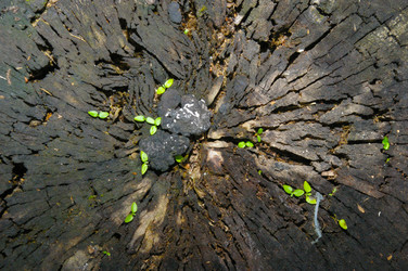 Similar image 352424