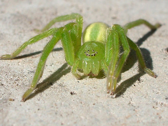 Similar image 352426