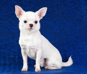 Similar image 352442