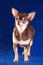 Similar image 352445