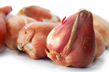 Similar image 352467