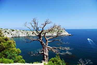 Similar image 352487