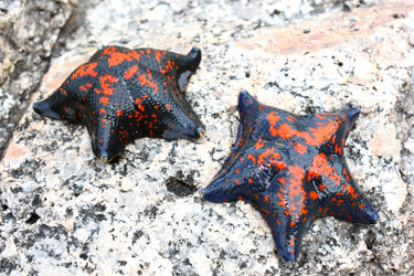 Similar image 352491