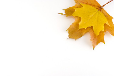 Similar image 352526