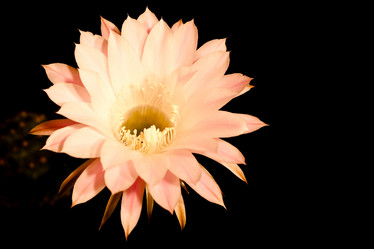 Similar image 352543