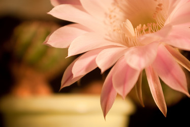 Similar image 352544