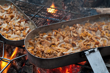 Similar image 352555