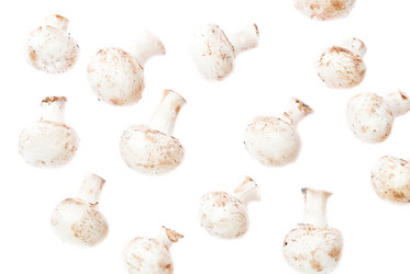 Similar image 352576