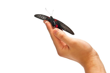 Similar image 352585