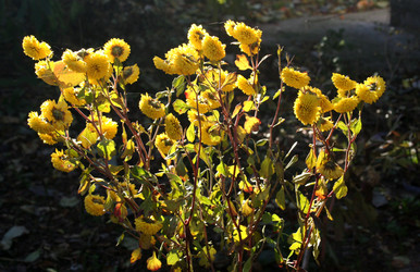 Similar image 352590