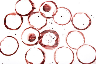 Similar image 352628