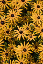 Similar image 352634