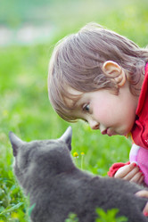 Similar image 352637