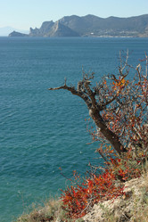 Similar image 352640