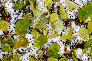 Similar image 352646