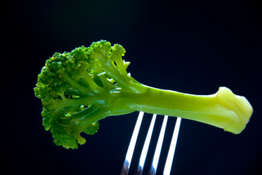 Similar image 352754