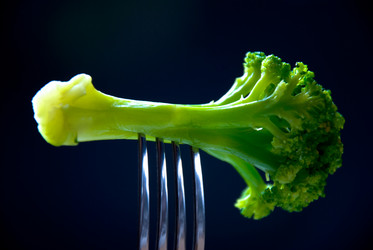 Similar image 352755