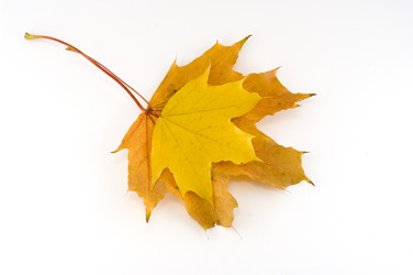 Similar image 352824