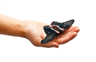 Similar image 352850