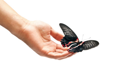 Similar image 352857