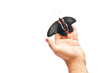 Similar image 352866