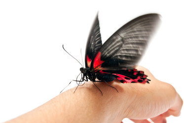 Similar image 352869