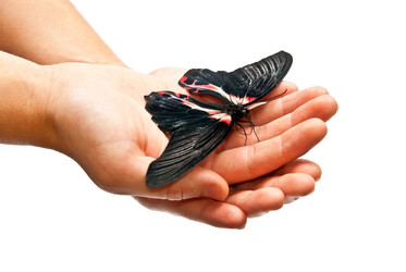 Similar image 352873