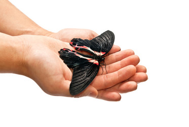 Similar image 352875